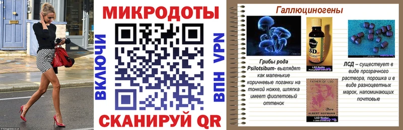Псилоцибиновые грибы Cubensis  Гусь-Хрустальный 